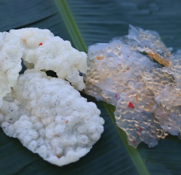 Saggu Biyyam Vadiyalu